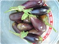 ajvar